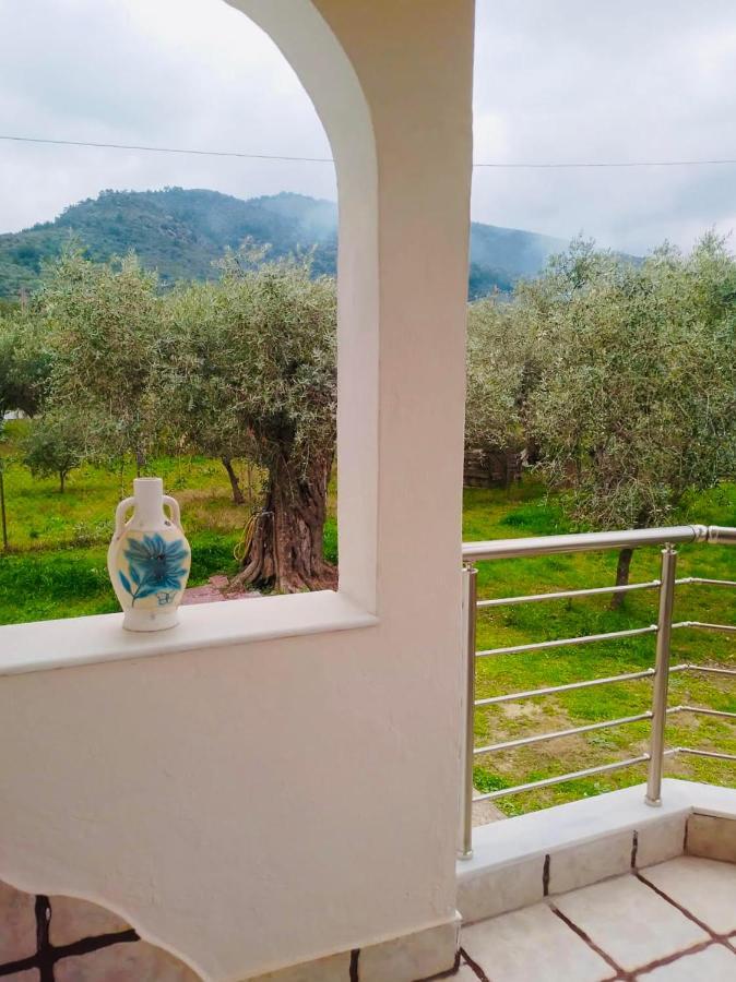 Villa Calypso Skala Rachoni  Ngoại thất bức ảnh