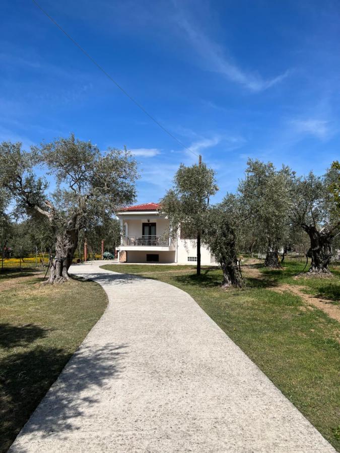 Villa Calypso Skala Rachoni  Ngoại thất bức ảnh